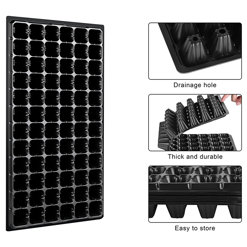 Seedling Tray