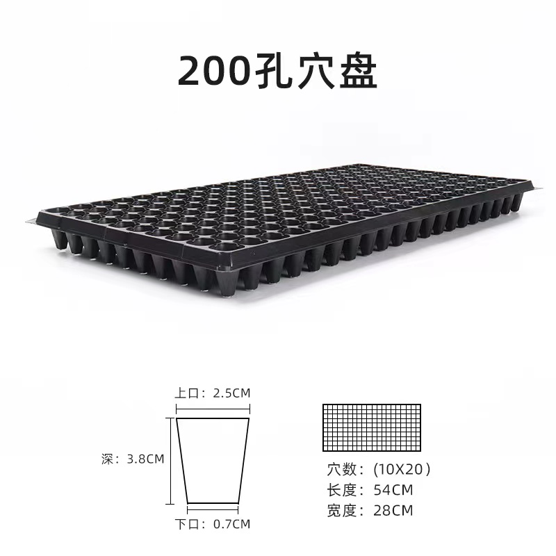 Seedling Tray