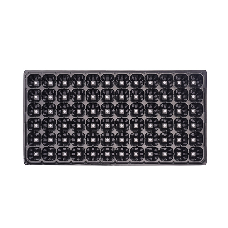 Seedling Tray
