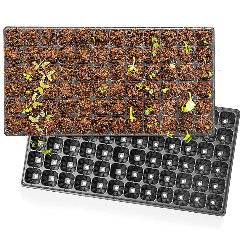Seedling Tray