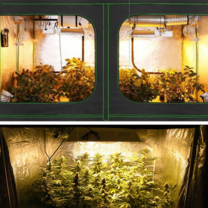 Grow Tent