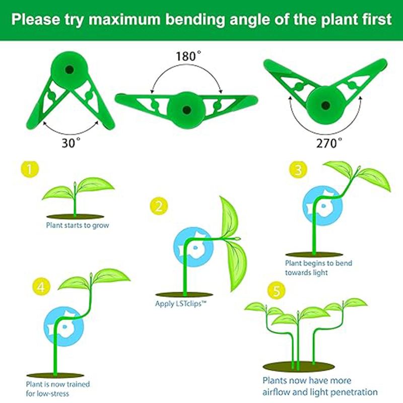 Plant Bender
