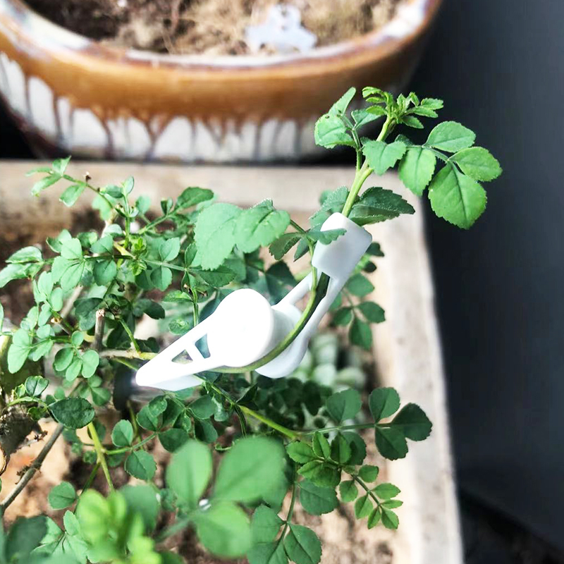 Plant Bender