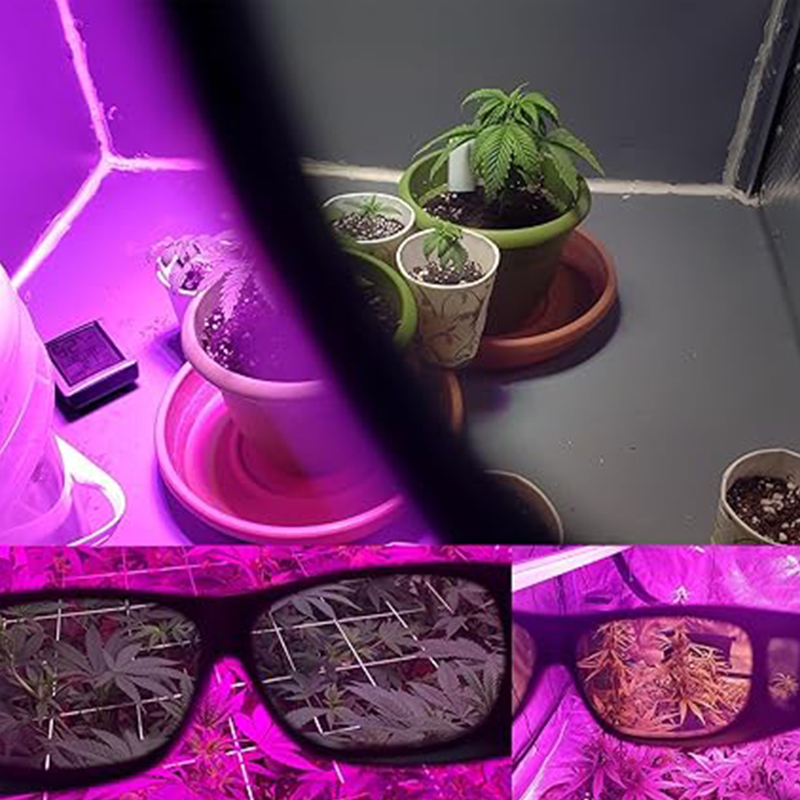 LED Grow Room Glasses