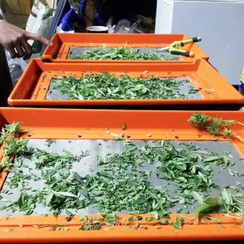 Pollen Collection Trimming Tray