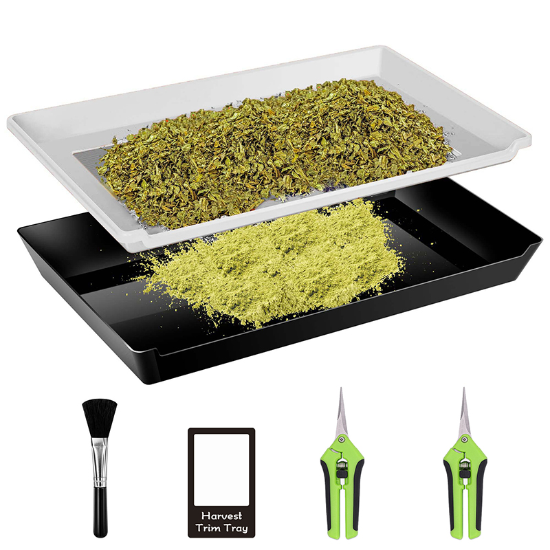 Pollen Collection Trimming Tray
