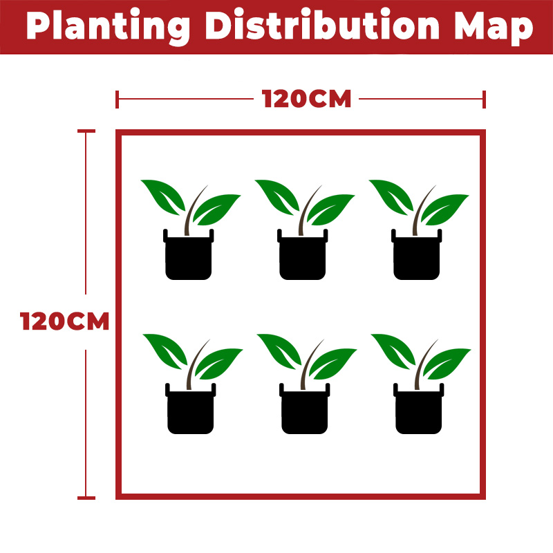 120*120*200CM Grow Tent Kit For Six Plants