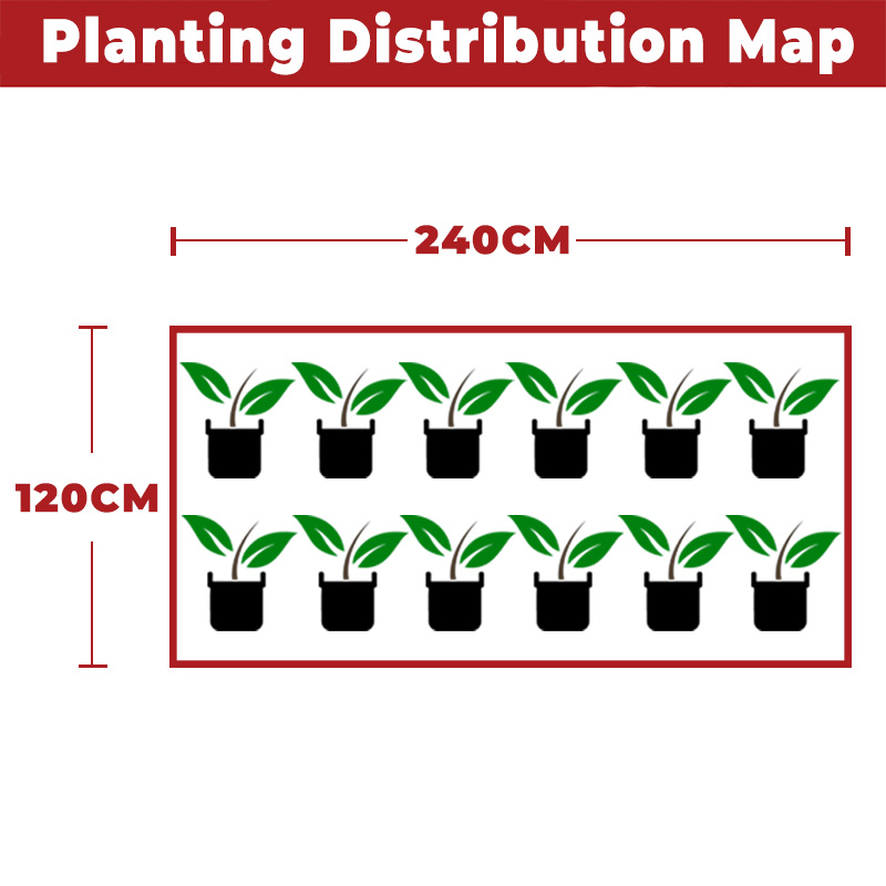 240*120*200CM Grow Tent Kit For Twelve Plants