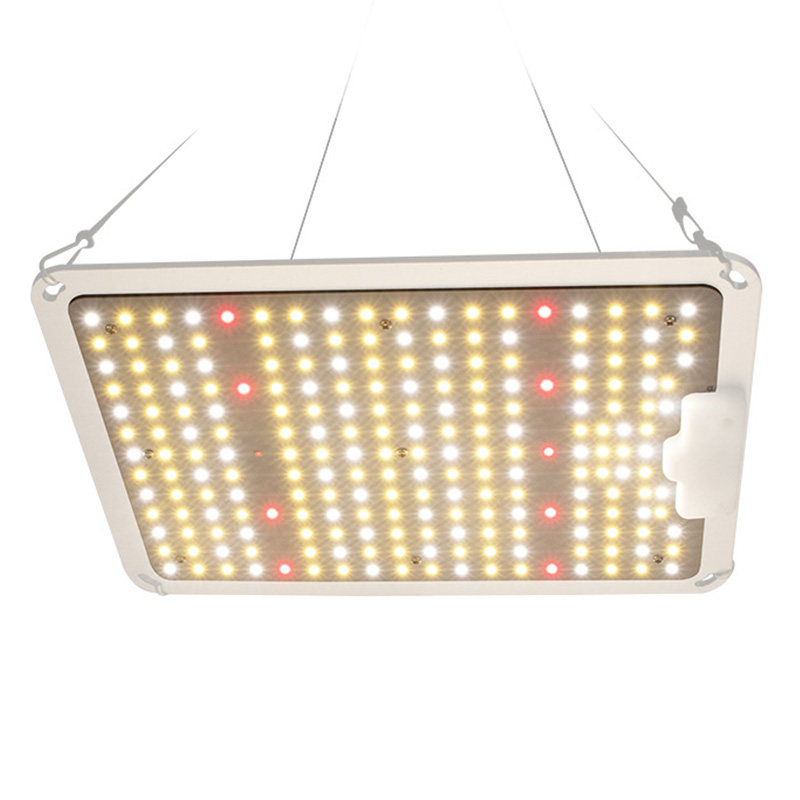 LED Grow Light