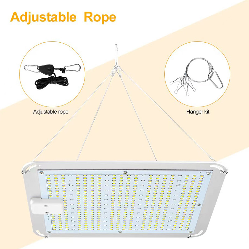 LED Grow Light