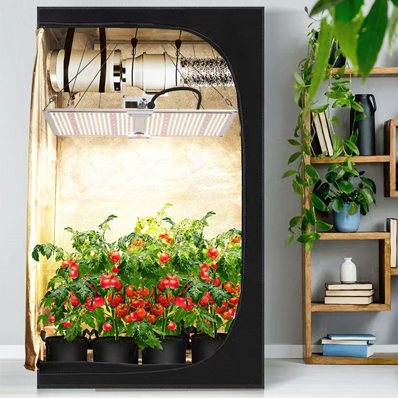 LED Grow Light