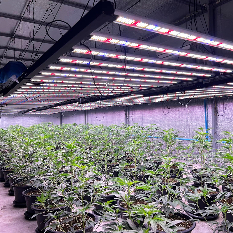 Octopus LED Grow Light - Foldable