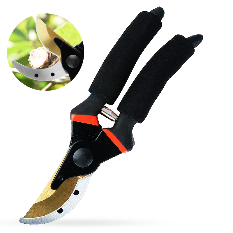 Bird Beak Pruning Shears