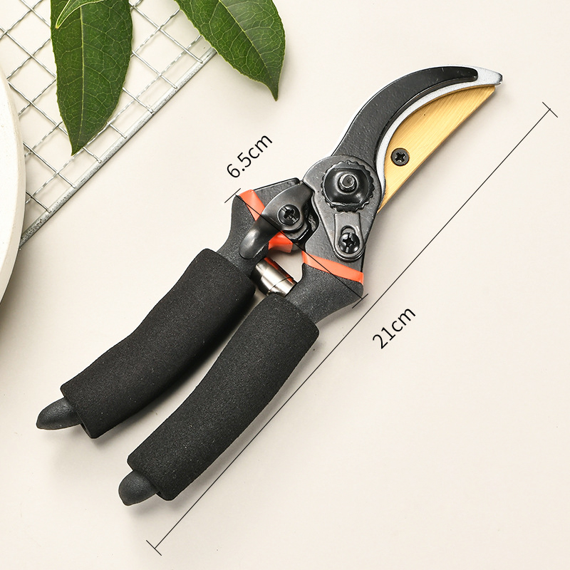 Bird Beak Pruning Shears