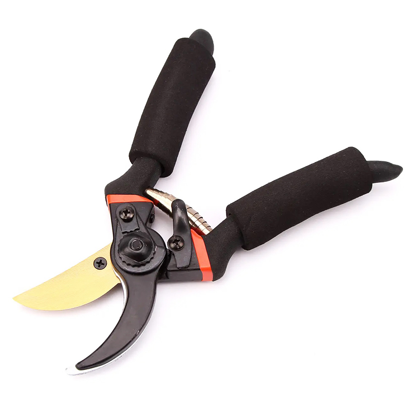 Bird Beak Pruning Shears