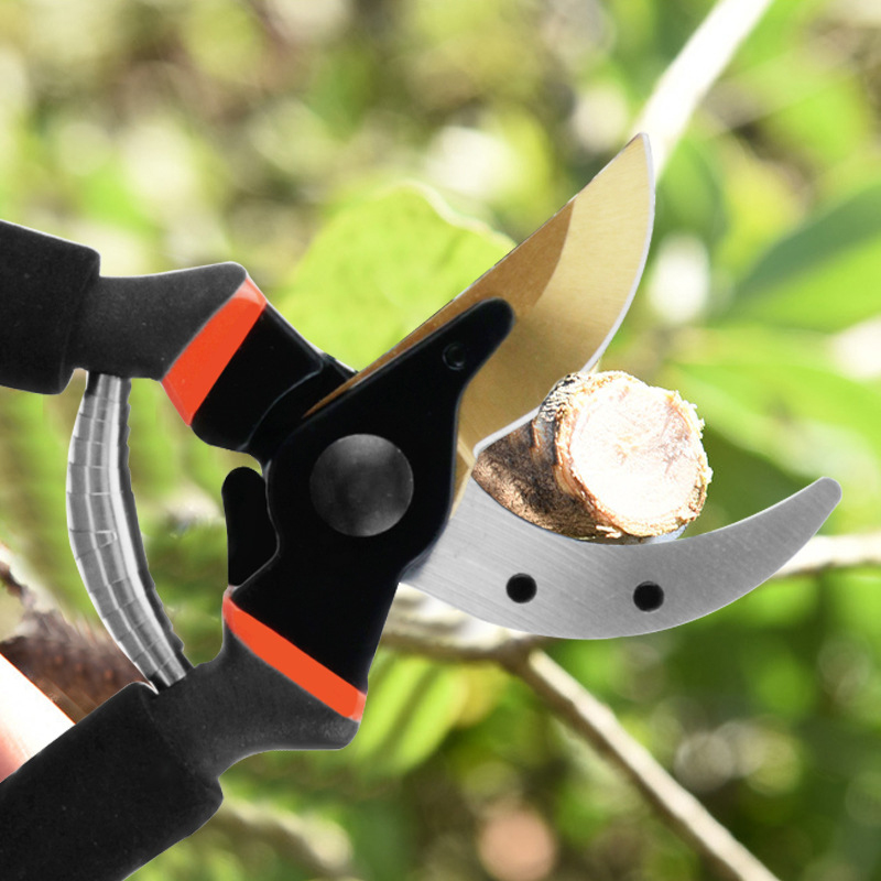 Bird Beak Pruning Shears