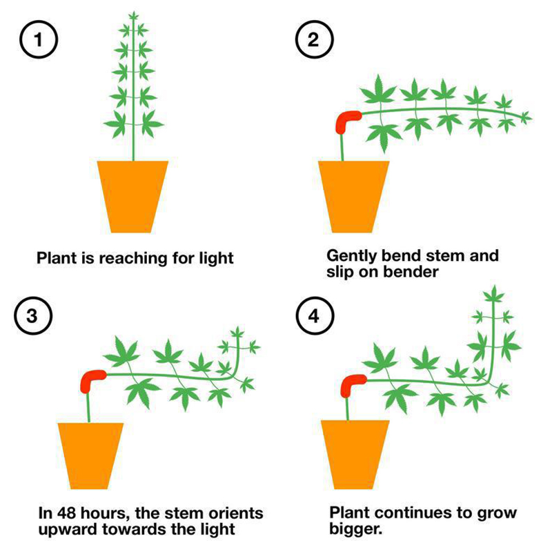 Plant Bender